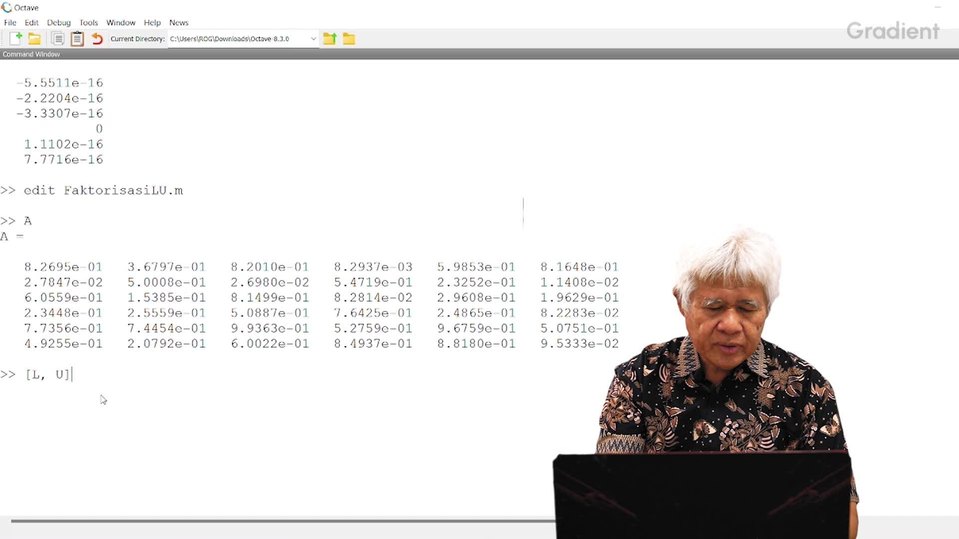 Implementasi Algoritma Faktorisasi LU pada Octave/ Matlab