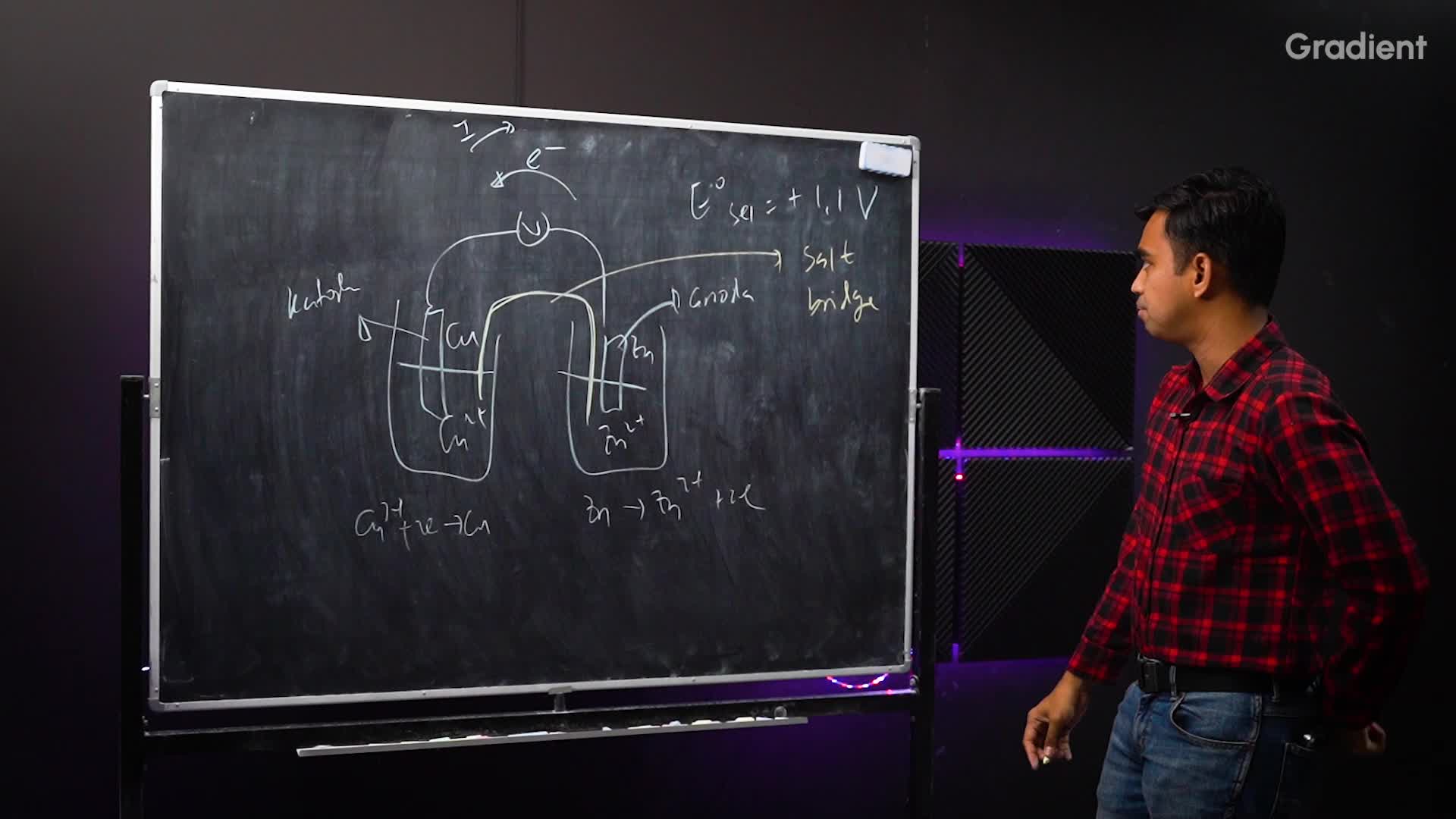 Diagram Sel Volta