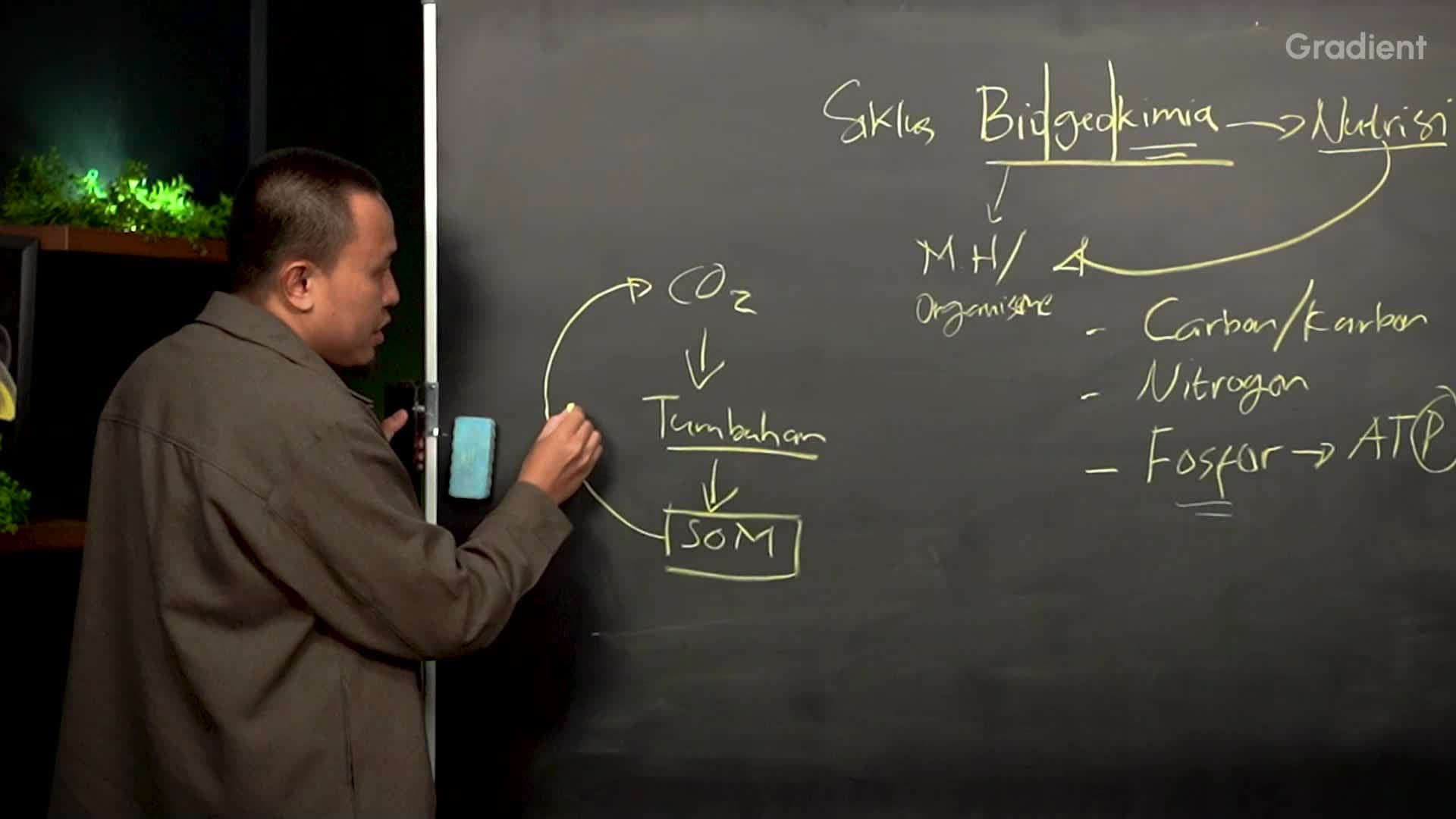 Perbedaan Siklus Materi dan Aliran Energi