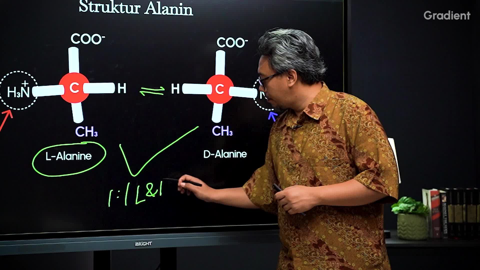Struktur Alanin