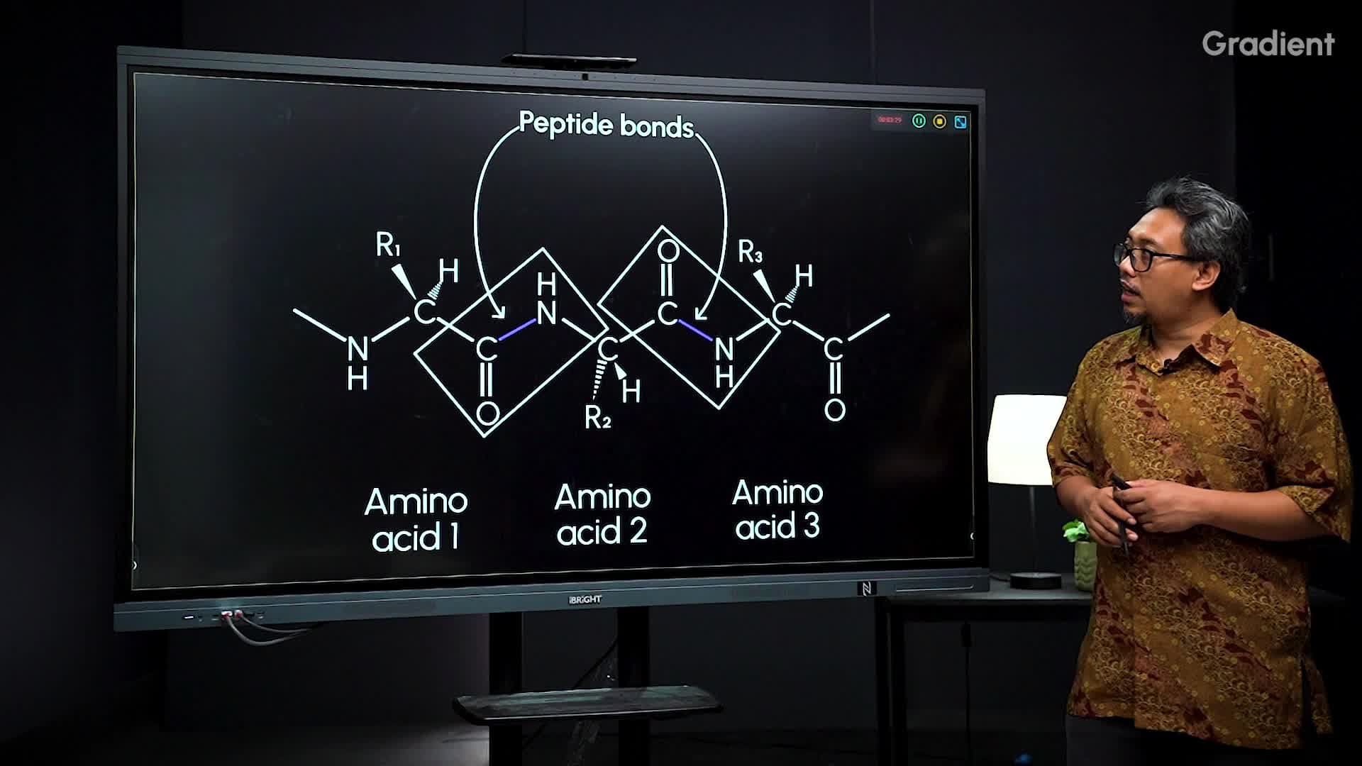 Peptida