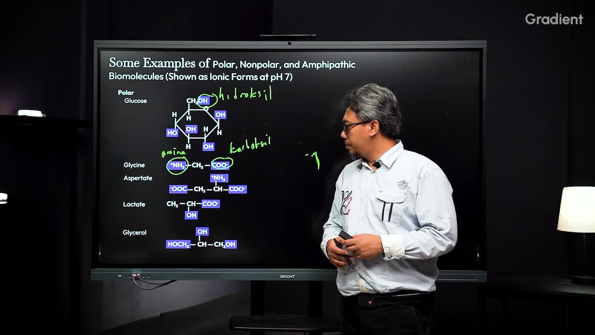 Contoh Biomolekul Polar, Nonpolar, dan Amphipathic