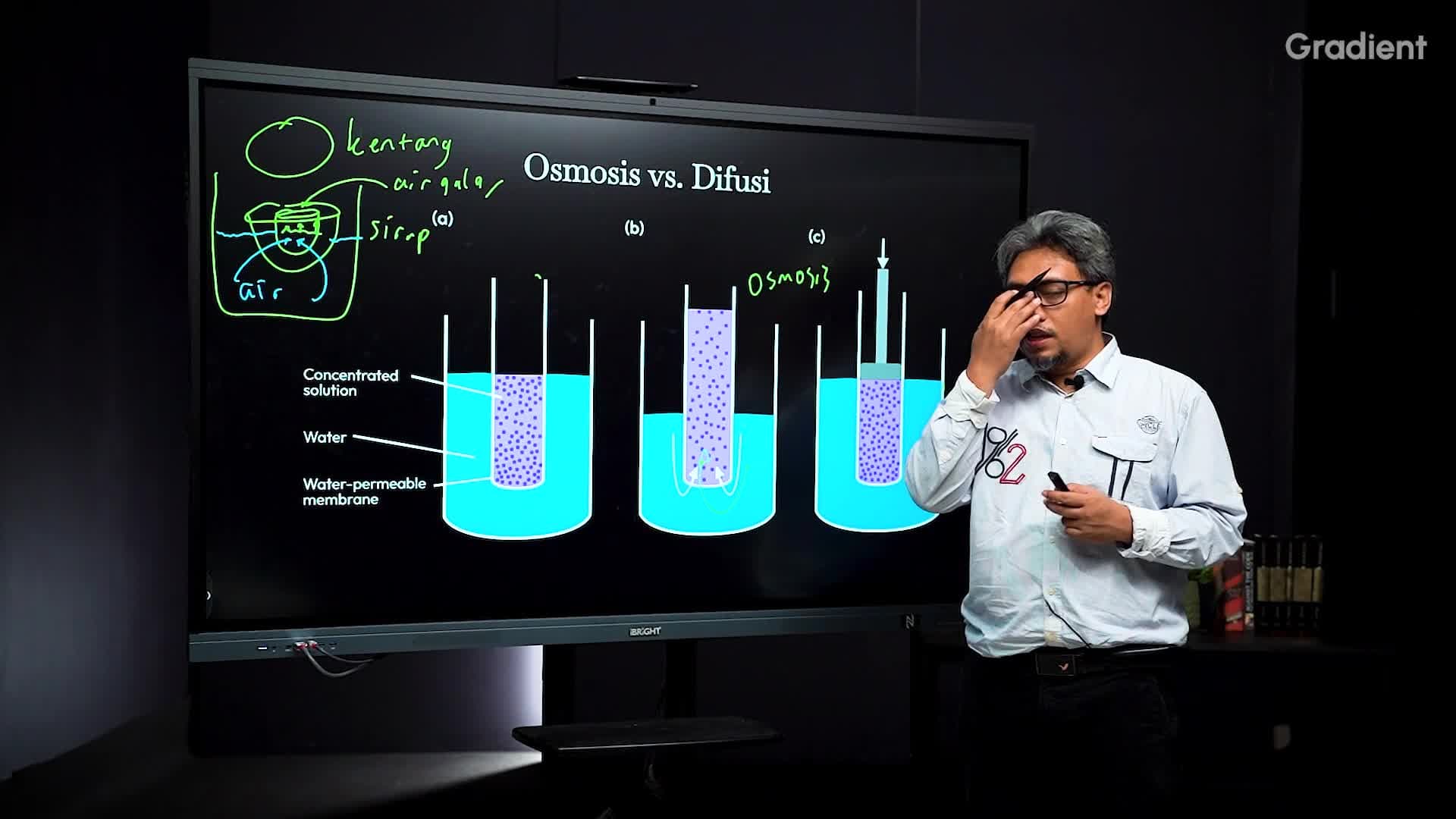 Osmosis vs Difusi