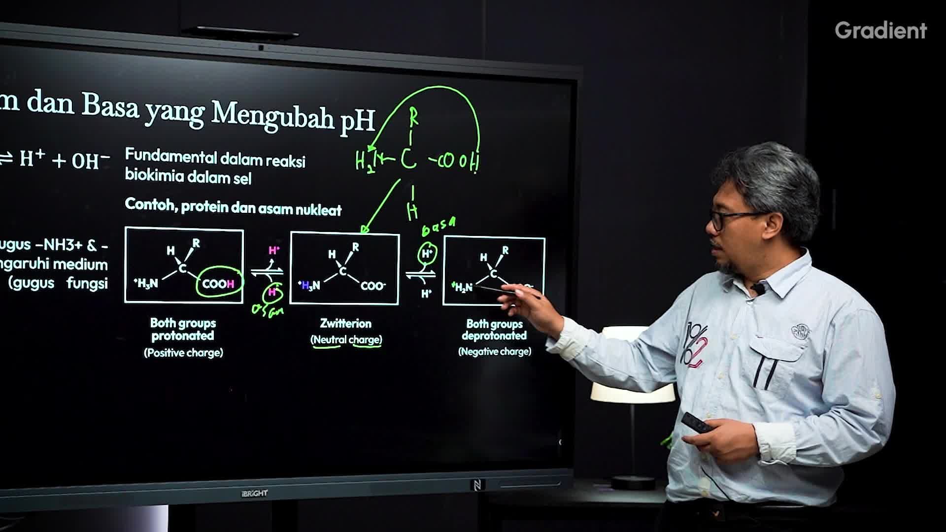 Asam dan Basa yang Mengubah pH