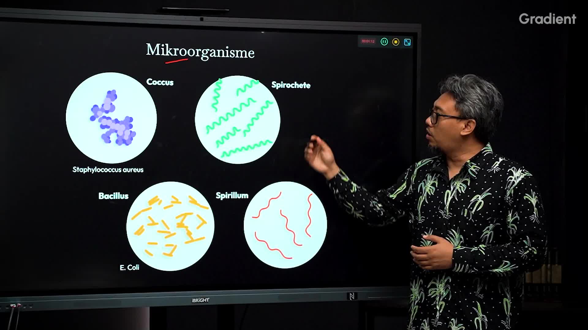 Mikroorganisme