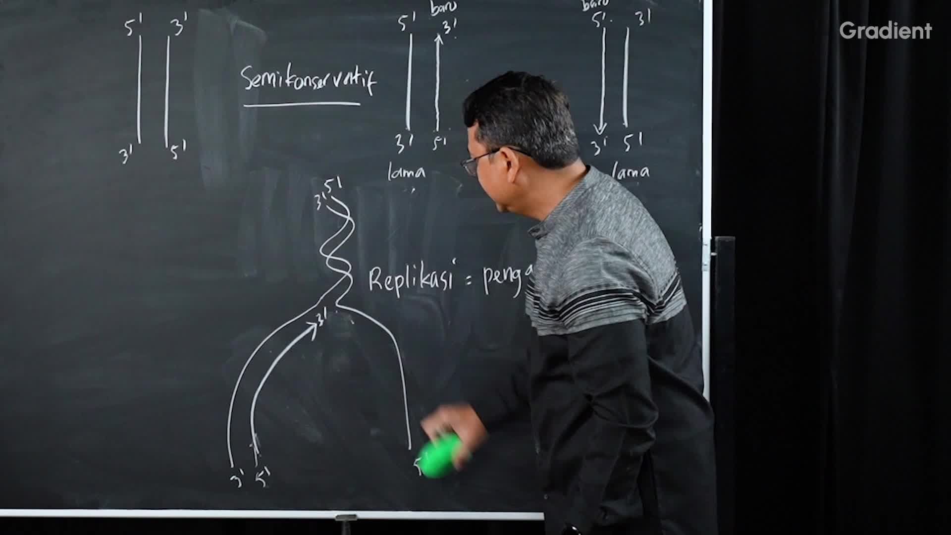 Perbedaan Replikasi DNA Semikonservatif pada Kedua Utas