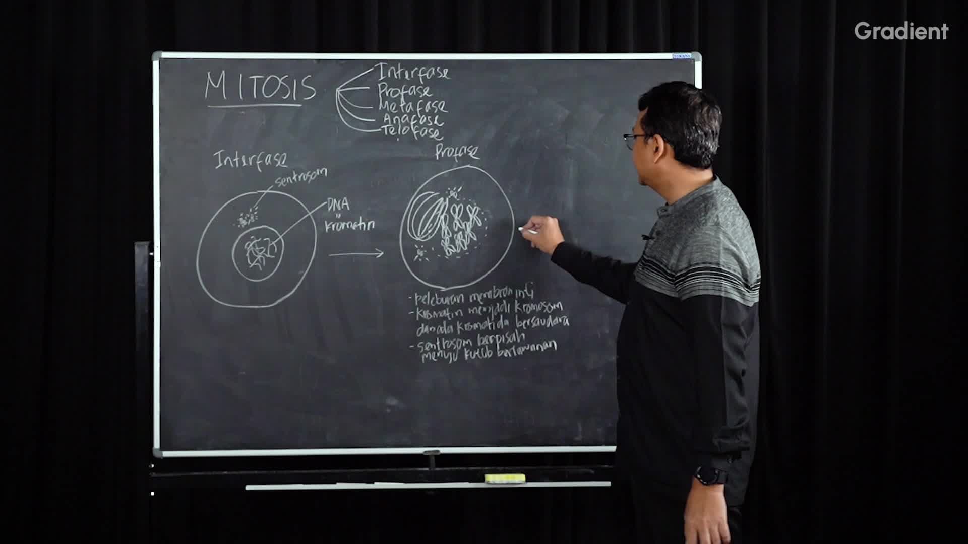 Pembelahan Mitosis dan Perbedaan Sitokinesis pada Sel Hewan dan Tumbuhan