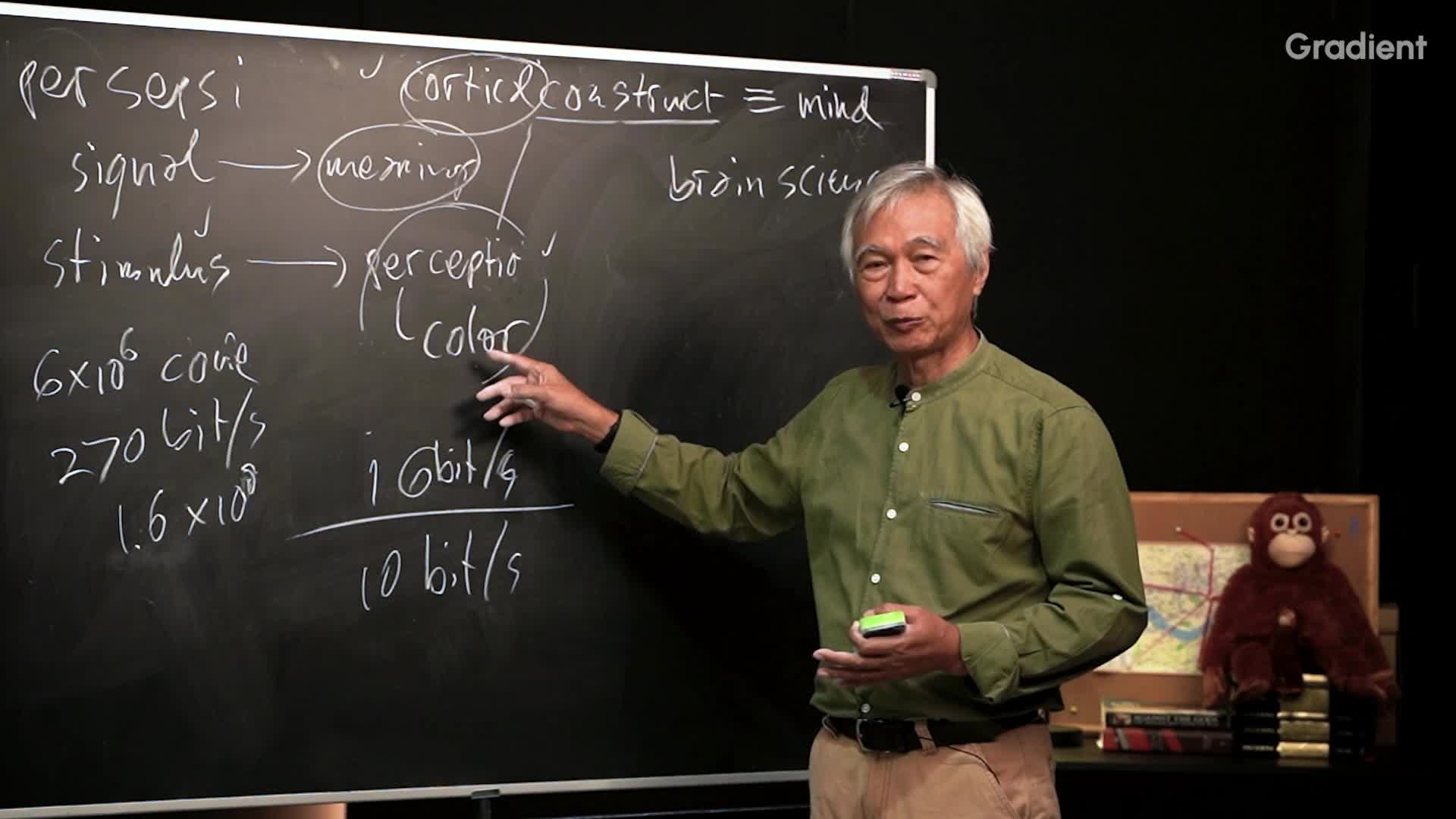 Brain Science (Ilmu Otak)