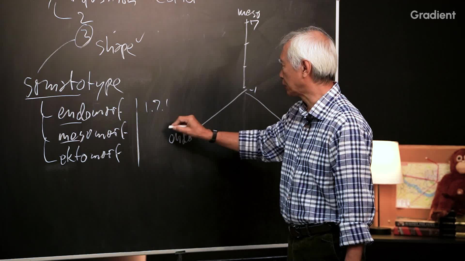 Diagram Model Somatotipe